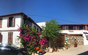 Amazon Petite Palace